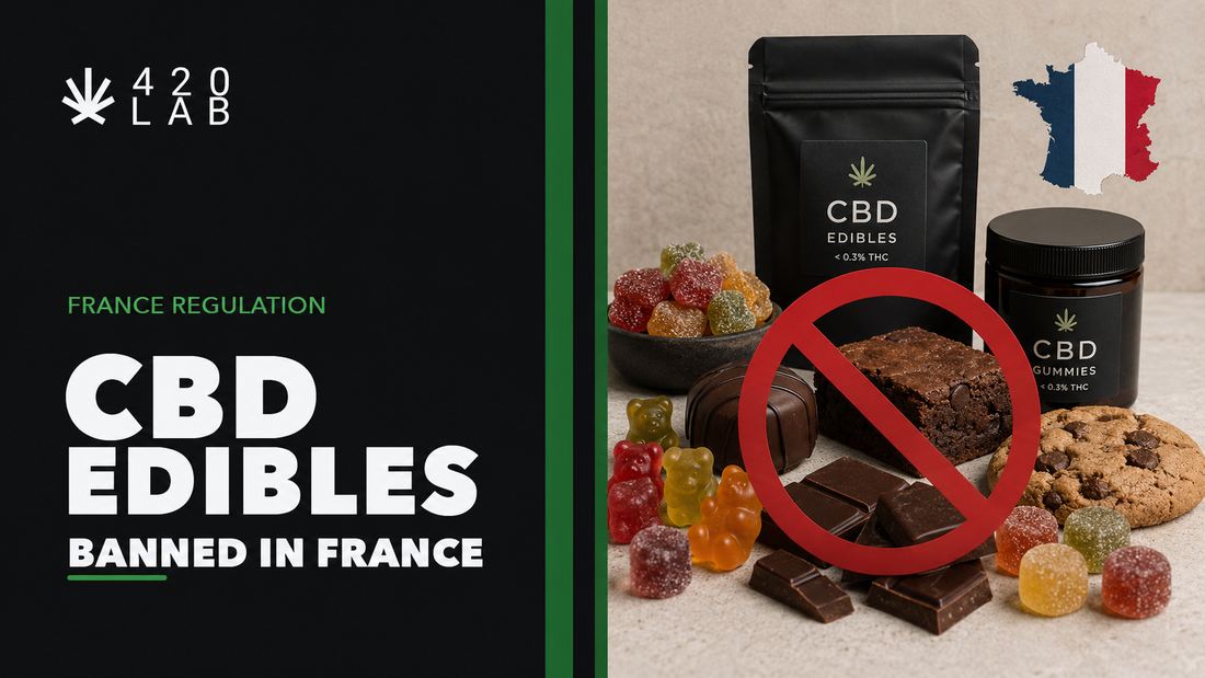 article de blog 420LAB CBD B2B sur l'interdiction du CBD alimentaire en france