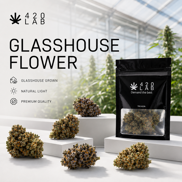 Fleurs CBD glasshouse wholesale 420LAB - serre vitrée haute technologie, qualité premium B2B Europe