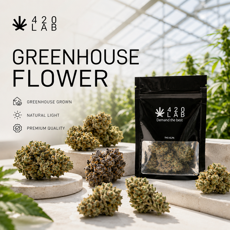 Fleurs CBD greenhouse wholesale 420LAB - culture sous serre, meilleur rapport qualité-prix B2B Europe