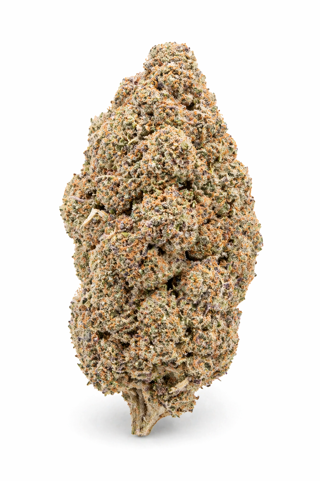 Blackberry Fleur CBD Low Indoor, Grossiste B2B