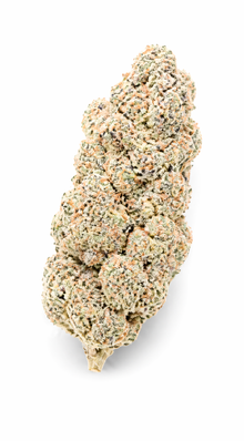 Gorilla Glue CBD Flower Revuelto Indoor Premium wholesale 420LAB - produit CBD B2B Europe