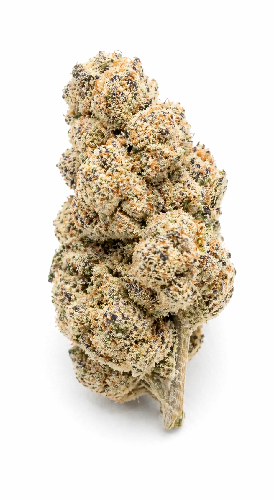 Truffle Sundae CBD Flower Indoor CBD wholesale 420LAB - produit CBD B2B Europe