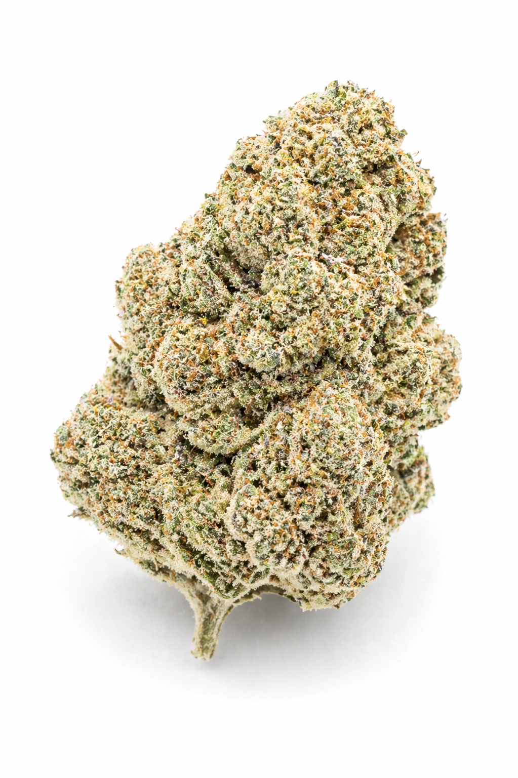 White Widow CBD Flower Greenhouse wholesale 420LAB - fleur CBD B2B Europe